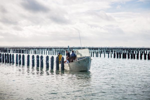 Les Moules - Famille Beaulieu-min