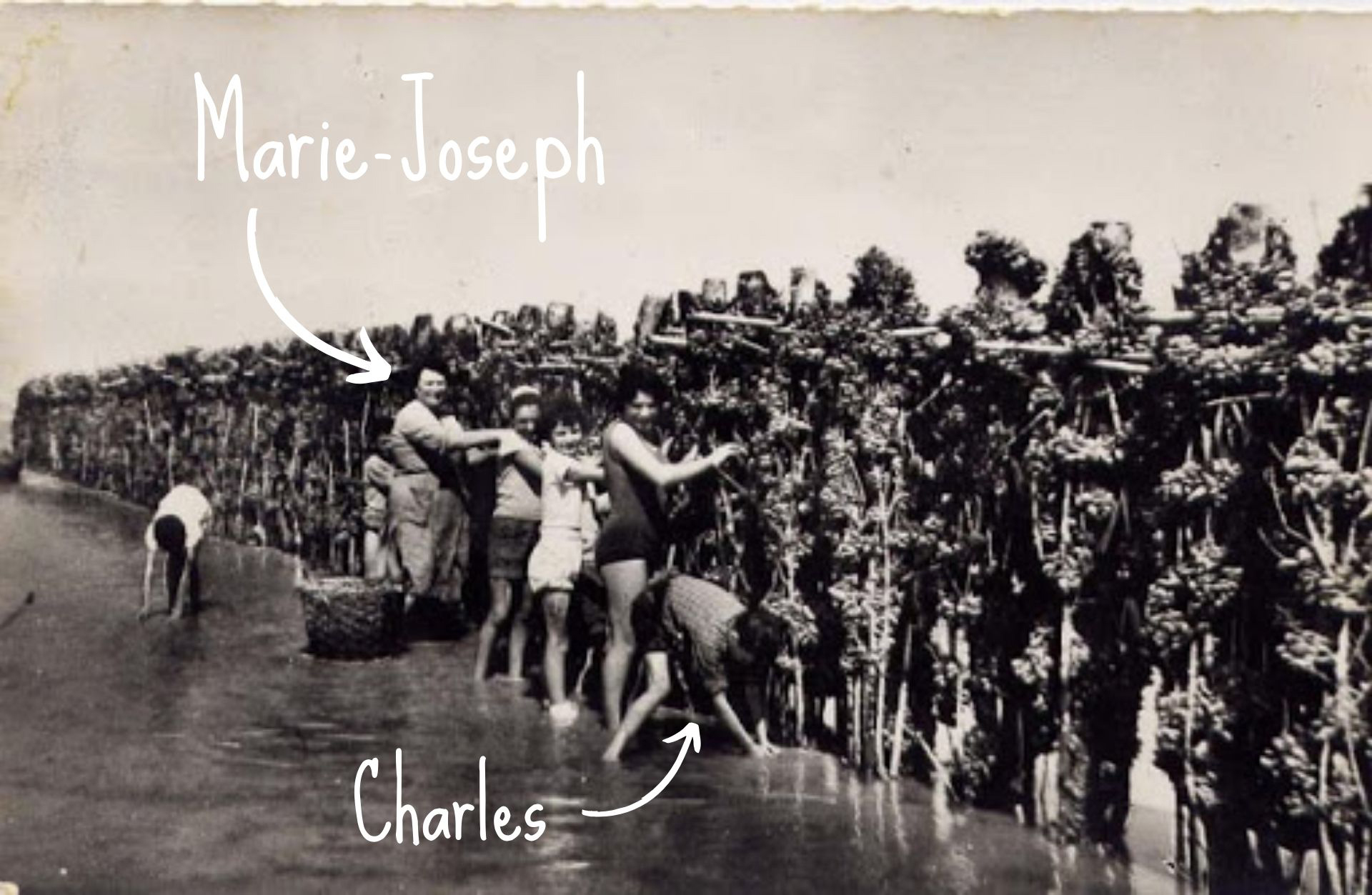 Marie-Joseph BEAULIEU
