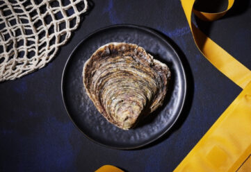 huitres_plates_catalogue_pied-cheval
